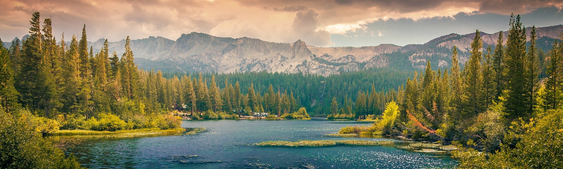 Christopher Shimizu V.